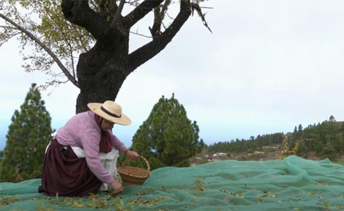 Proyectos-cultura-y-patrimonio-vidas-sabias