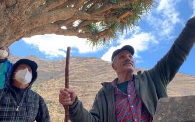 Geografía, historia, cultura y sentimientos de Juncalillo